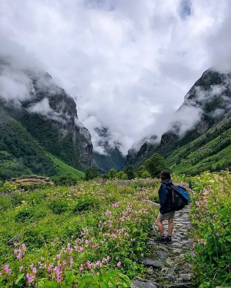 Valley of Flowers Trek